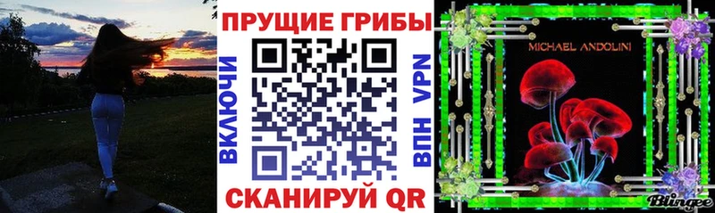 Галлюциногенные грибы Psilocybe  Купить  Иркутск 